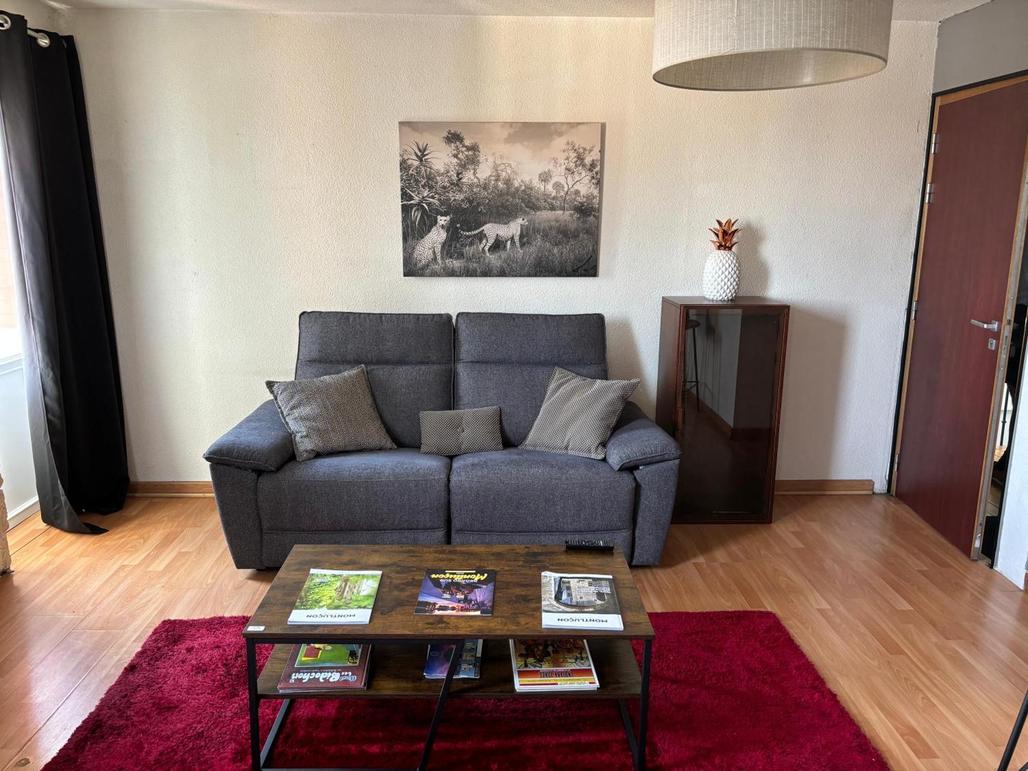 Apartment Appart Des Iles Montlucon